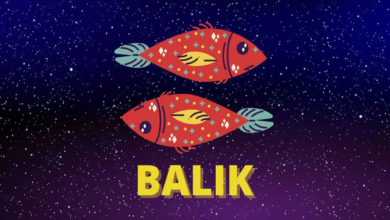 Balık Burcunun Güçlü ve Zayıf Yönleri Nelerdir